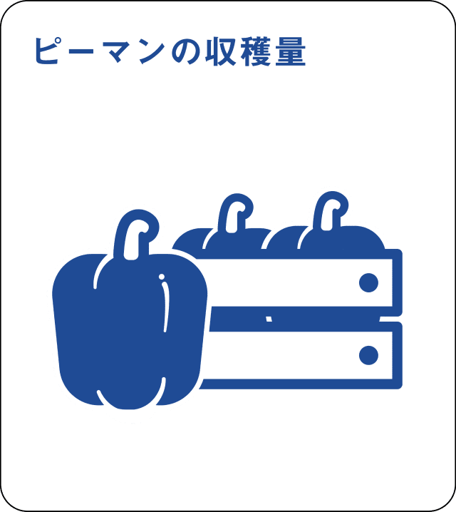 ピーマンの収穫量